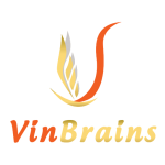 CÔNG TY CỔ PHẦN ĐẦU TƯ & PHÁT TRIỂN VIN BRAINS