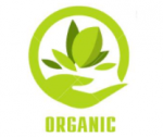 Công Ty TNHH Quốc Tế Organic